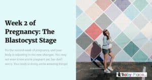 What to expect during week 2 of pregnancy