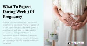 What To Expect During Week 3 Of Pregnancy